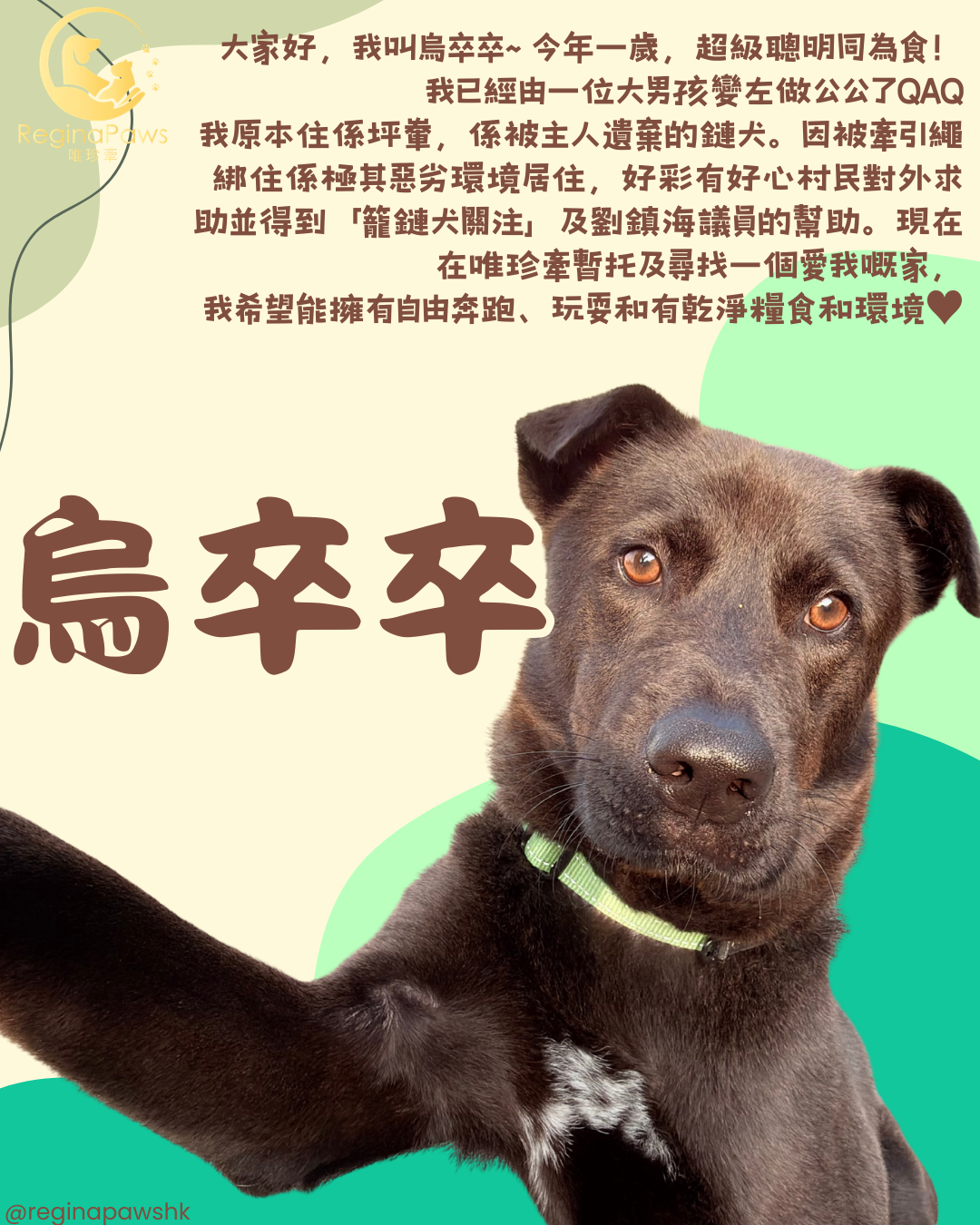 烏卒卒